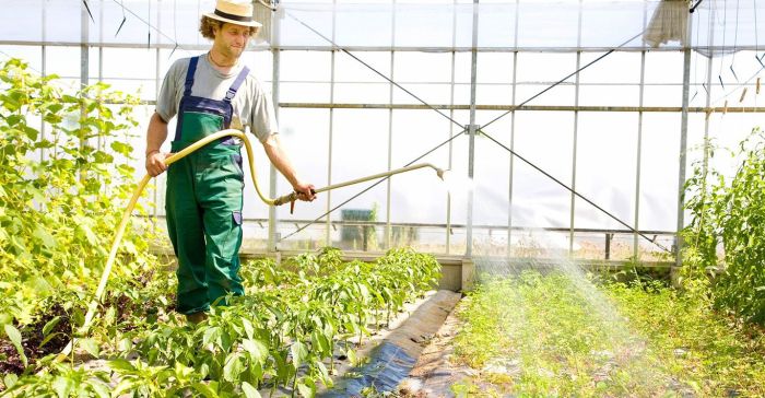 The 10 Best Greenhouse Builders Near Me (with Free Estimates)